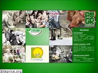 pgrbrodno.pl thumbnail