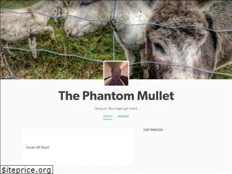 phantommullet.com