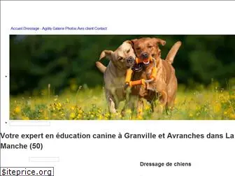 philippe-educateur-canin.com