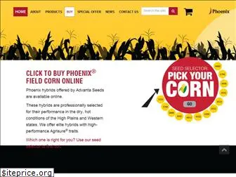 phoenixcorn.com