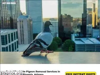 phoenixpigeons.com