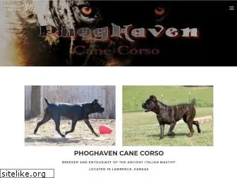 phoghavencanecorso.com