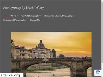 photographybydavidwong.com