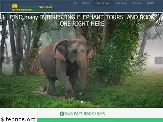 phuketelephanttrails.com