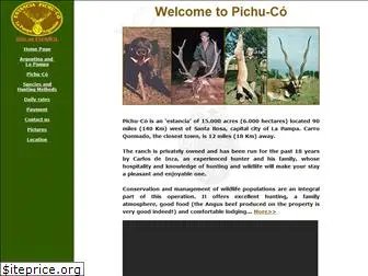 pichu-co.com.ar