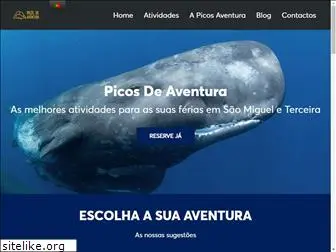 picosdeaventura.com