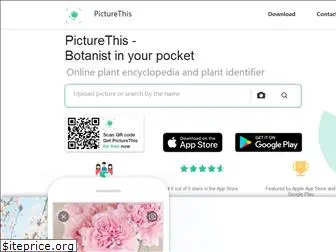 picturethisai.com