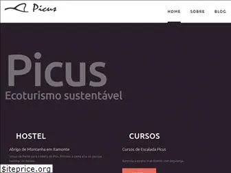 picus.com.br
