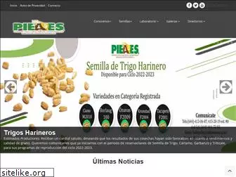 pieaes.org.mx
