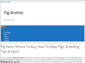 pigbrother.co.uk