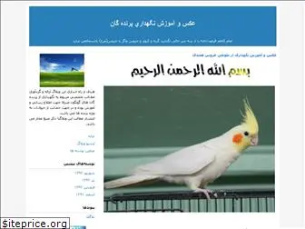 pigeon1.blogfa.com