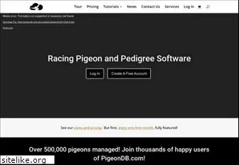 pigeondb.com