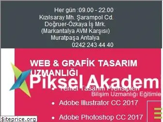 pikselakademi.com.tr