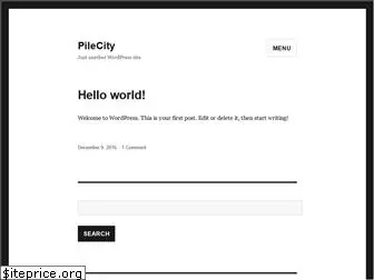 pilecity.com