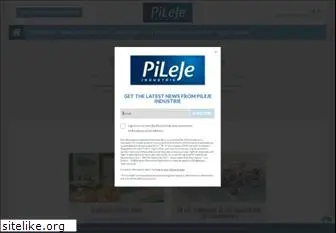 pileje-industrie.com