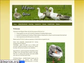 pilgrimgeese.org.uk