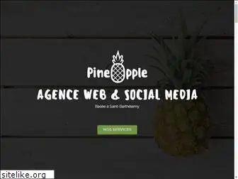 pineapple-sbh.com