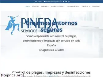 pinedaintegrados.com