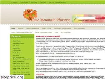 pinemountainnursery.com.au