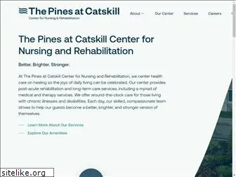 pinescatskill.com