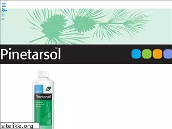 pinetarsol.com