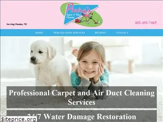 pinkyscarpetductcleaning.com