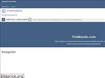 pinmundo.com