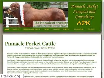 pinnaclepocketcattle.com