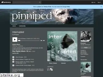 pinnipedmusic.com