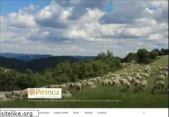 pirinea.com