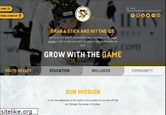 pittsburghpenguinsfoundation.org