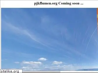 pjkflumen.org