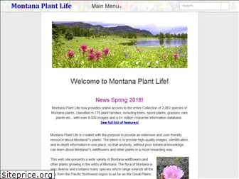 plant-life.org