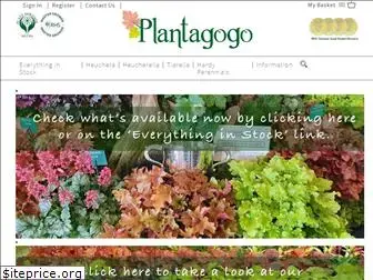 plantagogo.com