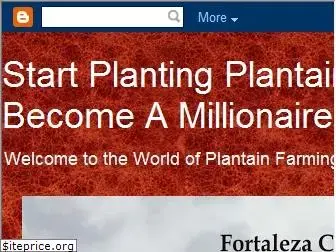 plantainfarming.blogspot.com