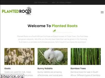 plantedroots.co.za