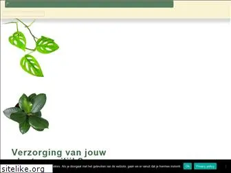 plantenfestijn.com
