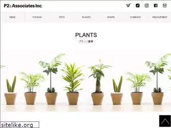 plantsplants.jp
