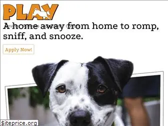 playdoggiedaycare.com