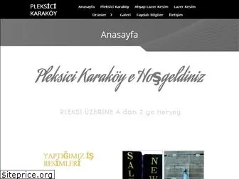 pleksicikarakoy.com