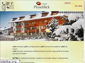 ploseblick.com