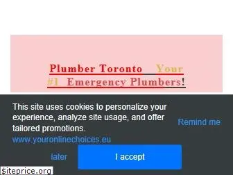 plumbertorontoltd.com