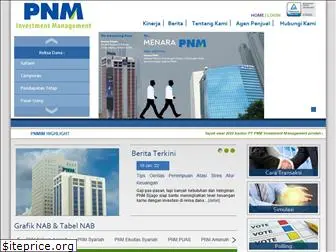 pnmim.com