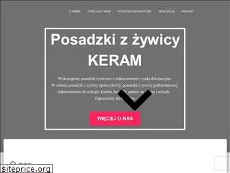 podlogizzywicy.pl