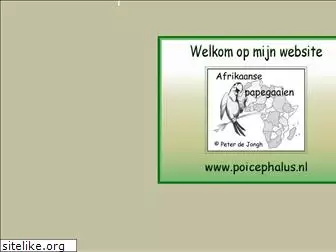 poicephalus.nl