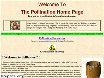 pollinator.com