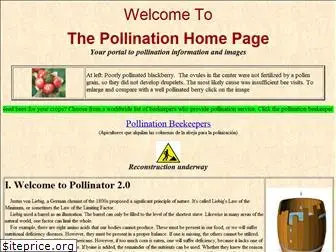 pollinator.info