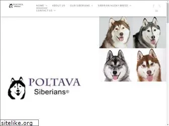 poltavasiberians.com