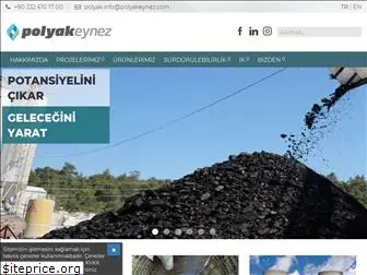 polyakeynez.com