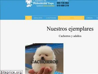 pomeraniatoy.com